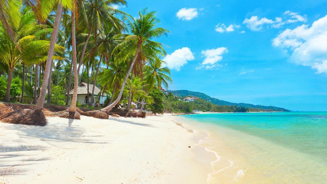 メナムビーチ Samui Blue Bird Bed & Breakfast エクステリア 写真