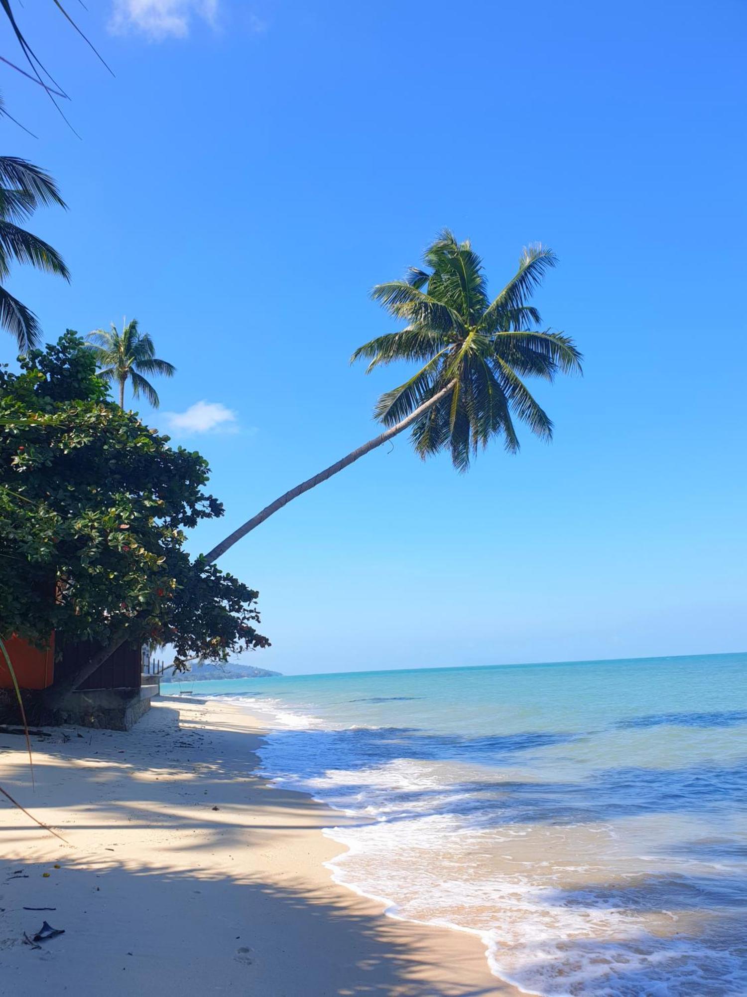 メナムビーチ Samui Blue Bird Bed & Breakfast エクステリア 写真