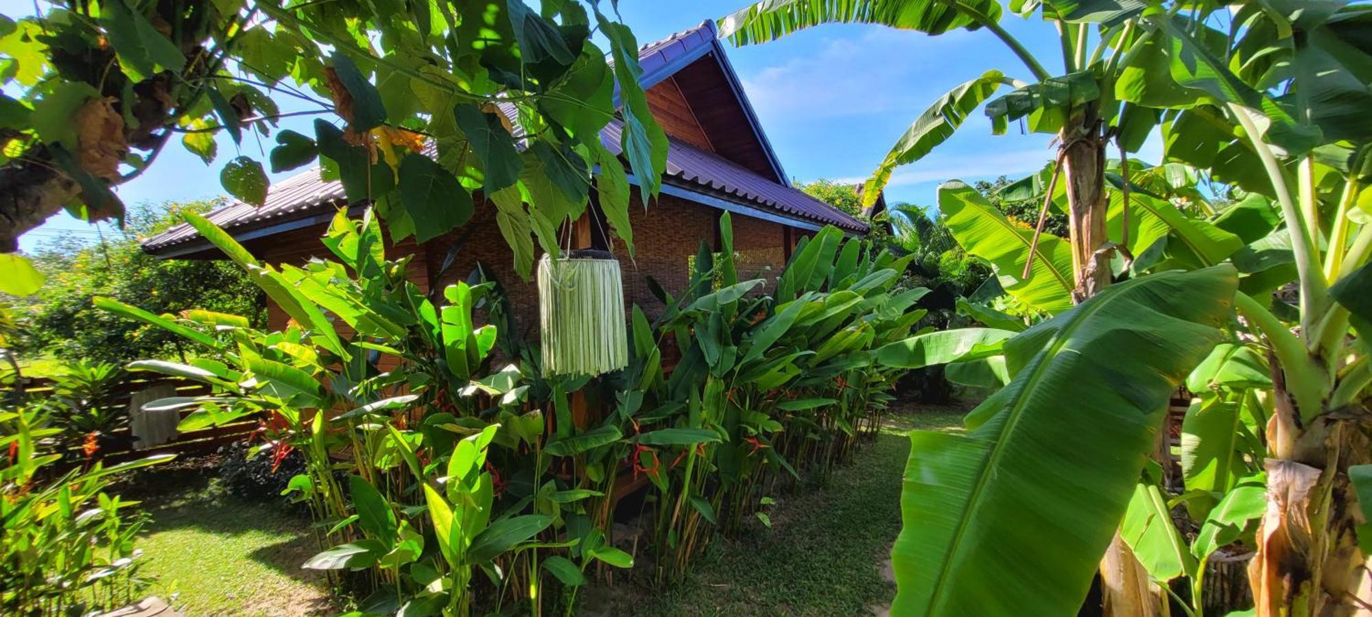 メナムビーチ Samui Blue Bird Bed & Breakfast エクステリア 写真