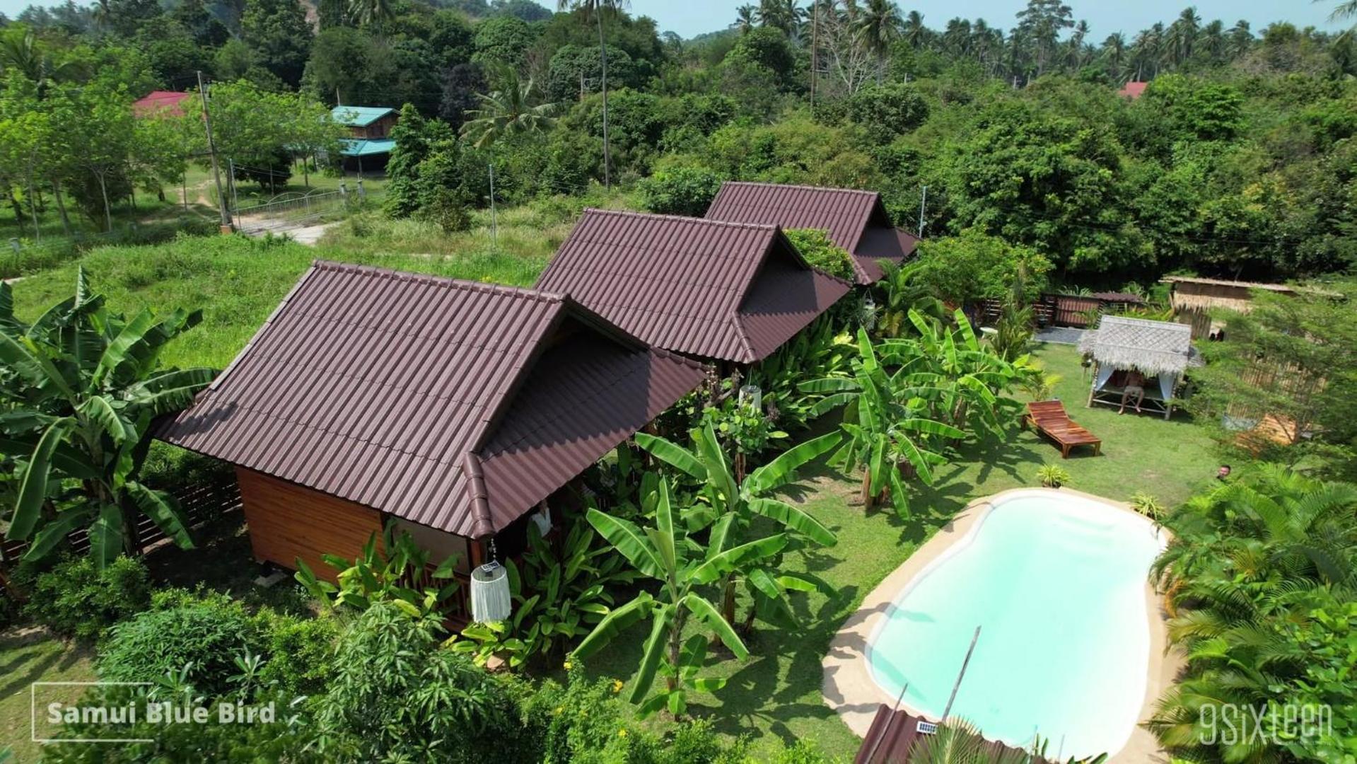 メナムビーチ Samui Blue Bird Bed & Breakfast エクステリア 写真